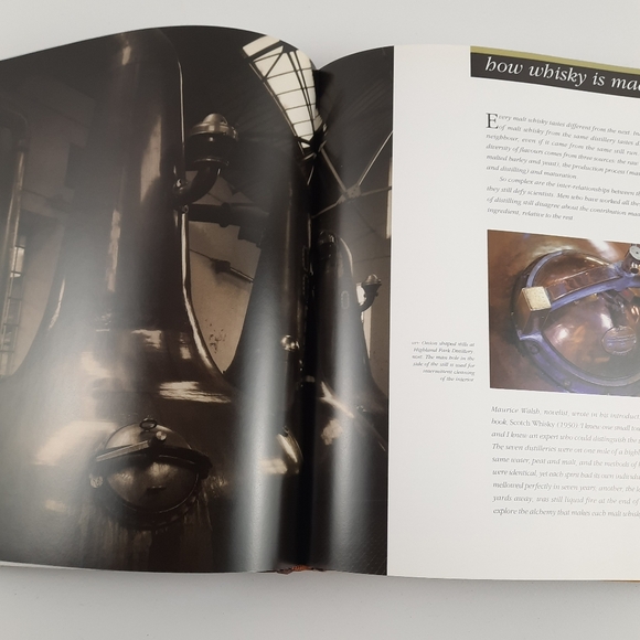 MALT WHISKEY Charles MacLean Buyer Collector Guide Tasting Coffee Table Book - Picture 10 of 16